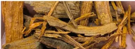 Fotografía de trozos de madera de palo de Campeche, materia prima del tinte comercializado en la época colonial.