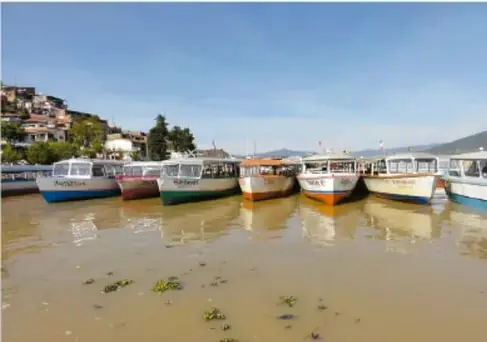 Fotografía de lanchas de pesca en la orilla de un lago, con agua turbia y vegetación flotante, representando la problemática del lago de Pátzcuaro.