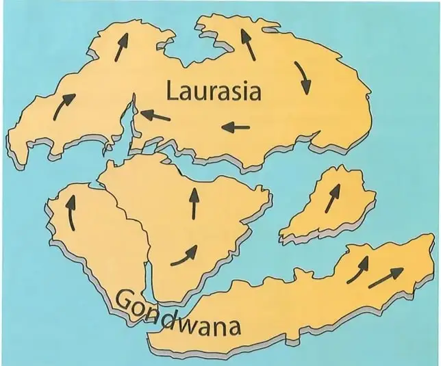Mapa de Pangea separándose en Laurasia (norte) y Gondwana (sur)