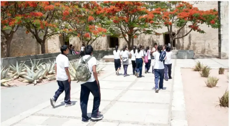 Fotografía de estudiantes con uniforme y mochilas caminando por un patio escolar empedrado, con árboles de flor roja (flamboyán) y cactus; crédito vertical a la derecha: Frank Santana Lozano, 2025, INTE.
