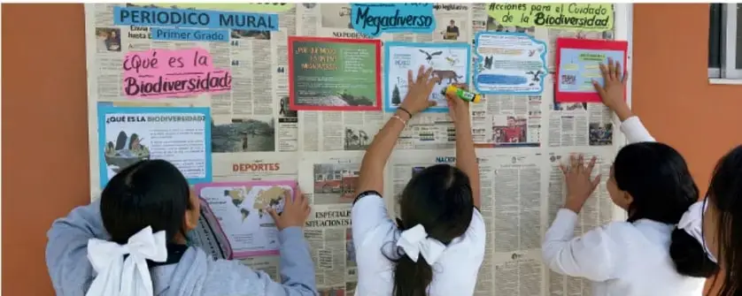 Fotografía de estudiantes colocando recortes e ilustraciones en un periódico mural con títulos como '¿Qué es la Biodiversidad?', 'Megadiverso' y 'Acciones para el Cuidado de la Biodiversidad'.