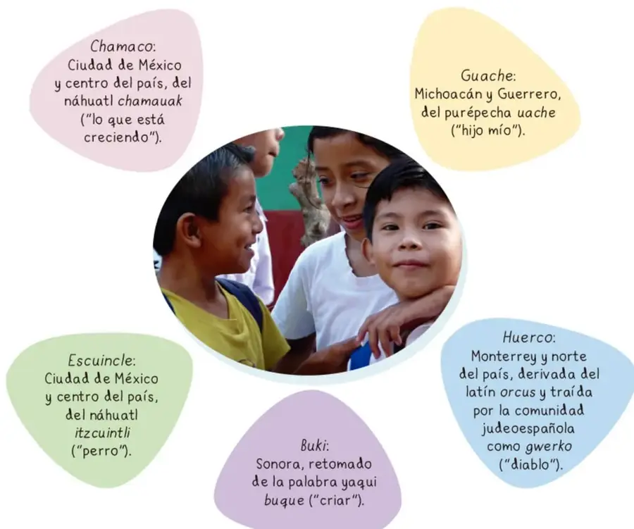 Figura 1 de Colección Nanahuatzin. Nuestro libro de proyectos.   Libro de Educación Secundaria Grado 3°  Ciclo Escolar 2025 - 2026