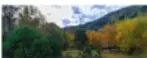 Ilustración de un paisaje de parque natural con montañas, árboles y un río.