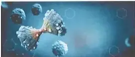 Figura 2 de Ciencias Naturales 9° · 2025