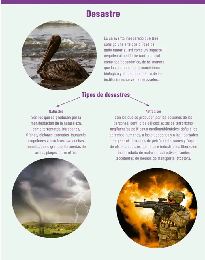 Pelícano cubierto de petróleo en el agua, ejemplo de desastre antrópico por derrame.