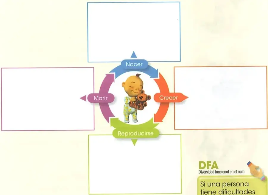 Diagrama circular del ciclo de vida con las etapas Nacer, Crecer, Reproducirse y Morir, acompañado por la imagen de un niño.