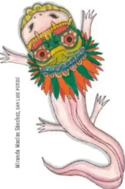 Ilustración de un ajolote rosado con branquias externas y un tocado ceremonial mexica; crédito: Mtra. Nadia Sánchez Cruz.