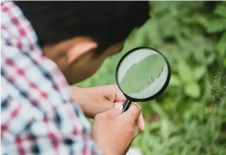 Fotografía de un estudiante observando con una lupa hojas y vegetación, en un entorno verde, ilustrando la observación de la biodiversidad local.