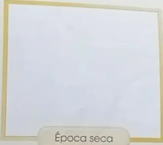 Dos recuadros para dibujar: 'Época lluviosa' y 'Época seca'.