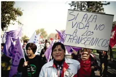 Marcha con personas sosteniendo carteles; uno dice 'SÍ A LA VIDA, NO A LOS TRANSGÉNICOS'.