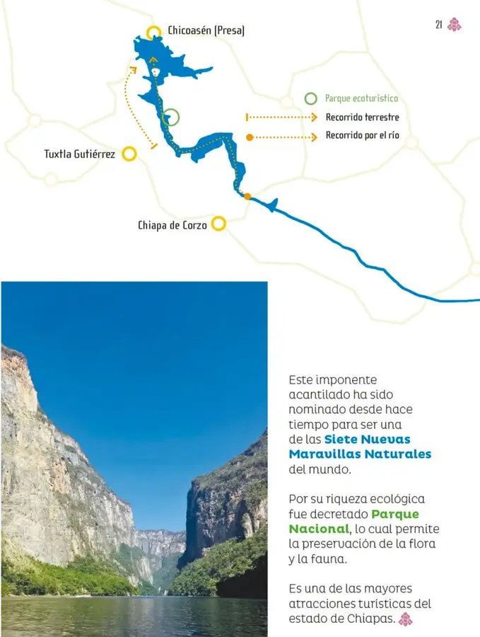 Figura 1 de Múltiples lenguajes. Libro de Educación Primaria Grado 4° Ciclo Escolar 2025 - 2026