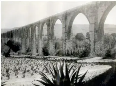 Fotografía en blanco y negro de un acueducto de piedra con varios arcos, rodeado de vegetación y un maguey en primer plano.