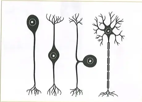Figura 2 de Ciencias Naturales 10° · 2025