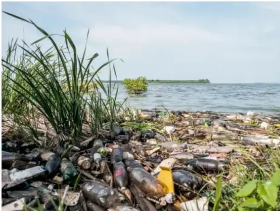 Fotografía de la orilla de un río o lago cubierta de basura, sobre todo botellas de plástico, entre pastos y vegetación verde.