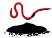 Ilustraciones de lombrices, suelo, plantas y recipientes con compost o tierra.