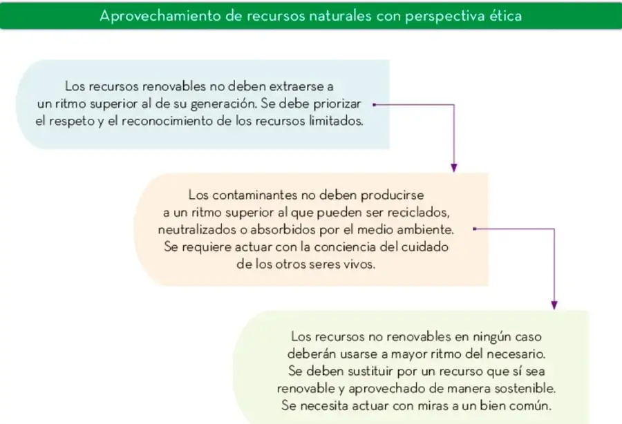 Diagrama de flujo con tres recuadros de colores (azul, naranja y verde) que contienen las reglas para el aprovechamiento de recursos naturales con perspectiva ética.