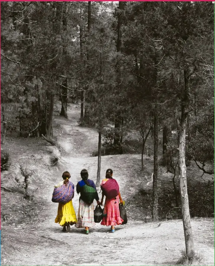 Figura 1 de Nuestros saberes: Libro para alumnos, maestros y familia. Libro de Educación Primaria Grado 2° Ciclo Escolar 2025 - 2026