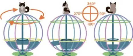 Tres esferas con gatos que ilustran un giro: la primera muestra la dirección del movimiento con flechas curvas, la segunda y tercera muestran las marcas angulares 90°, 180°, 270° y 360° en un círculo de referencia.
