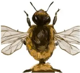 Ilustración de una abeja con la leyenda 'Los polinizadores en extinción', de Marijosé Padilla Hernández, Baja California; representa al texto argumentativo.