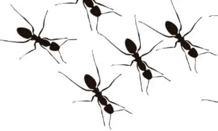 Numerosas siluetas negras de hormigas caminando, que decoran la página.