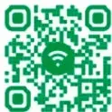 Logo verde de la colección junto al número de página 171.