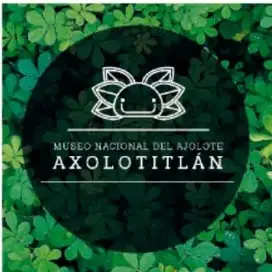 Logotipo circular verde del Museo Nacional del Ajolote Axolotitlán con la silueta de un ajolote.