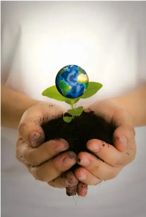 Manos con tierra sosteniendo una planta joven cuyo brote tiene forma de planeta Tierra, símbolo del cuidado del mundo.