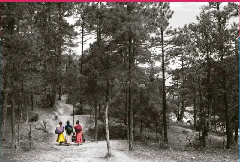 Fotografía en blanco y negro de un bosque de pinos con tres personas (una de falda amarilla, una de falda roja y otra de ropa oscura) caminando de espaldas por un camino de tierra.
