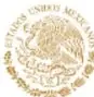 Logotipo de la Función Pública con el escudo nacional y el texto 'Función Pública, Secretaría de la Función Pública'.