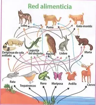 Figura 2 de Ciencias Naturales 8° · Egb 8 Ciencias Naturales 2025 · 2025
