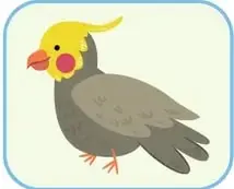 Banco de palabras verde con: chicken, dog, cat, guinea pig, hamster, bird, rabbit, fish.