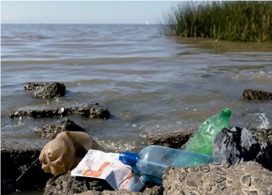 Fotografía de una orilla de agua con piedras volcánicas, pastos acuáticos y residuos como botellas de plástico, una bolsa y un envase, que muestran la contaminación del ecosistema.