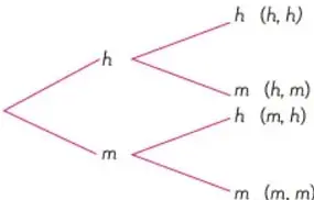 Diagrama de árbol que muestra los posibles resultados del sexo de dos hijos: h (hombre) y m (mujer), con las combinaciones (h,h), (h,m), (m,h), (m,m).