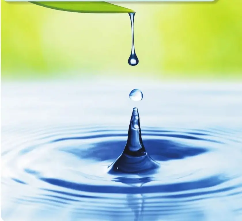 Imagen de una gota de agua que cae desde una hoja y forma ondas concéntricas en la superficie del agua.
