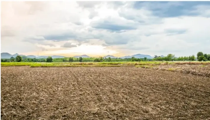 Fotografía de un campo agrícola abierto con tierra arada en primer plano, vegetación al fondo y montañas lejanas bajo un cielo con nubes al atardecer, ilustrando el tema de suelos y medio ambiente.