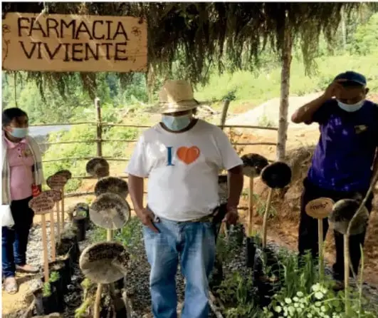 Fotografía de un huerto o vivero comunitario con un letrero de madera que dice "FARMACIA VIVIENTE", donde hay plantas medicinales en bolsas y personas de pie junto a ellas.