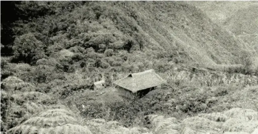 Fotografía en blanco y negro: una pequeña cabaña con techo de lámina aislada en un bosque en ladera, ilustrando el aislamiento de las mujeres.