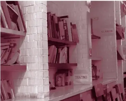Imagen 4. Después: biblioteca organizada por géneros con letreros "CLÁSICOS" y "TEATRO".