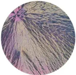 Micrografía de una roca con cristales minerales.