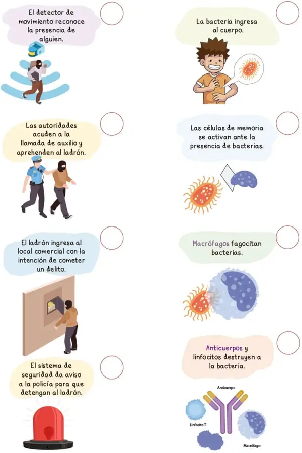 Figura 1 de Proyectos de Aula.   Libro de Educación Primaria Grado 6°  Ciclo Escolar 2025 - 2026