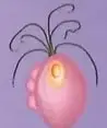 Ilustración de Trichomonas vaginalis bajo el rótulo de infecciones por protozoos.