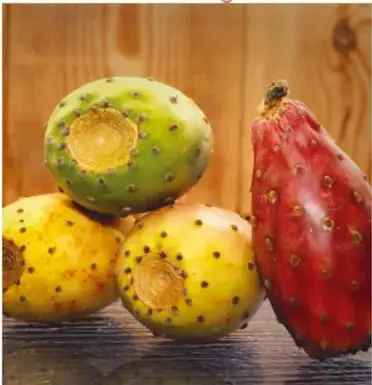 Fotografía de tunas amarillas, verdes y rojas peladas y con espinas, sobre una mesa de madera.