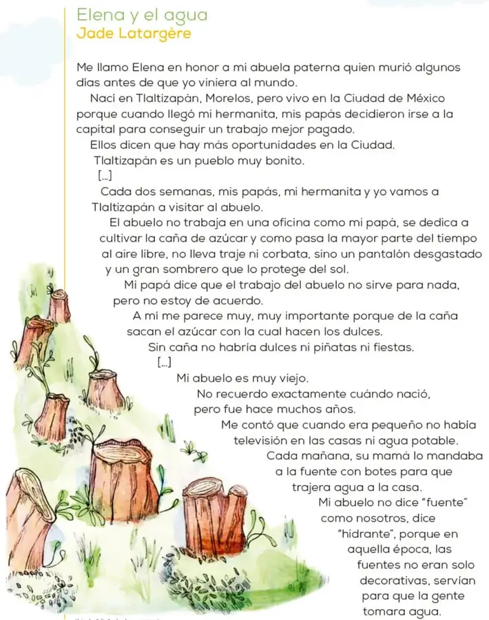 Ilustración de tocones de árboles talados sobre un fondo verde, con pequeños brotes. Al pie se lee: 'Alejandra Solís Sandoval, San Luis Potosí'.