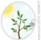 Figura 3 de Ciencias Naturales 5° · Egb 5 Ciencias Naturales 2024 · 2024