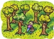 Ilustración de una caja azul que contiene cinco naranjas, utilizada para plantear el desequilibrio cognitivo.