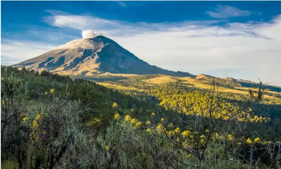 Fotografía panorámica de un volcán (Popocatépetl) nevado en su cima, con laderas cubiertas de bosques y matorrales amarillos y verdes bajo un cielo azul con nubes.