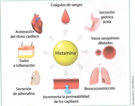 Figura 1 de Ciencias Naturales 8° · Egb 8 Ciencias Naturales 2025 · 2025