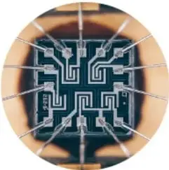 Micrografía de células humanas con posible malformación.