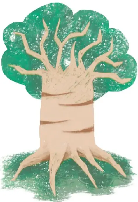 Ilustración de un árbol de tronco grueso beige con raíces anchas y follaje verde redondeado. Crédito: Sarah Esther Legorreta Medrano, COLMNA.