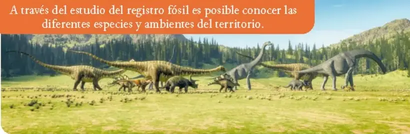 Ilustración de dinosaurios herbívoros y carnívoros en un paisaje prehistórico.